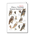 Sibley's Owls of East North America Greeting Card set features detailed illustrations of various owls by David Allen Sibley, blank inside for personalized messages.