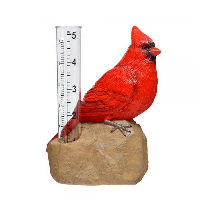 Cardinal Rain Gauge on a rock with a thermometer, featuring bold numbers, measures 5 inches of rainfall, and is easy to clean and empty.