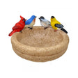 Backyard Birds Bath or Feeder with multiple birds perched on it, showcasing its dual functionality as both a feeder and a bath for garden use.