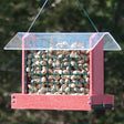 Going Green Peanut or Cake Feeder, Red, filled with peanuts, featuring mesh sides for easy bird access and a protective roof.