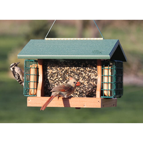 Bird eating from the Going Green® Large Premier Feeder with Suet Cages, featuring multiple feeding sides and clear panels to view seed levels.