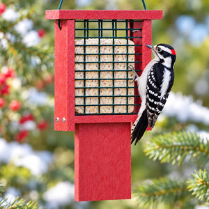 Downy Woodpecker perched on a red recycled plastic tail prop suet feeder with metal mesh cage and suet cake against a softly blurred winter backyard background.