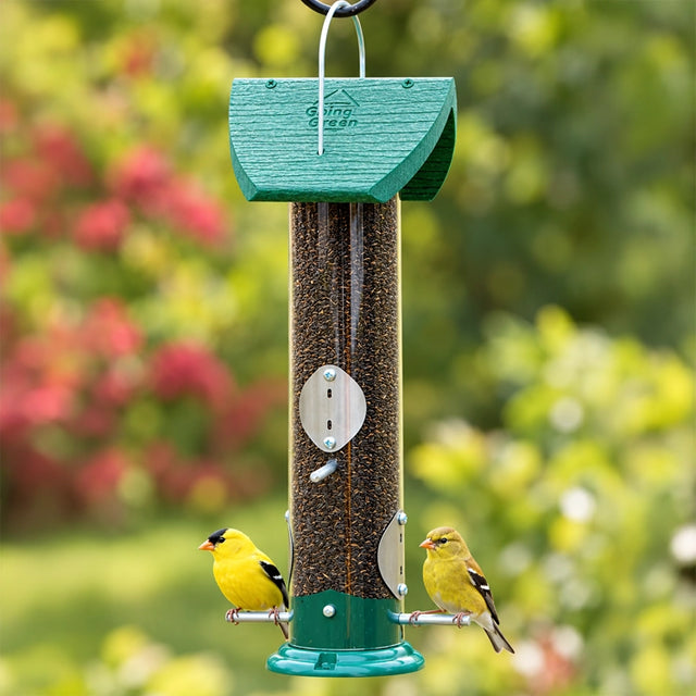 A green and clear cylindrical bird feeder hanging from a black hook, with two yellow birds perched on the metal feeders, set against a blurred green garden background.