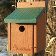 Woodlink Going Green™ Wren House mounted on a tree, featuring a 1-inch entry hole and made from recycled green and brown plastic for sturdy, predator-proof nesting.