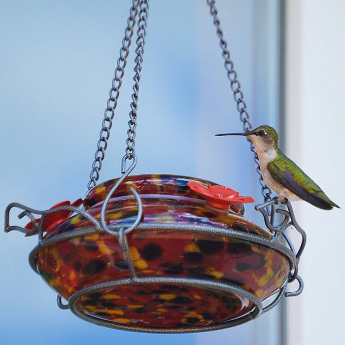 Garden Top Fill Hummingbird Feeder, Molten, with a hummingbird perched on a decorative glass dish feeder, featuring three leaf-shaped perches and a sturdy metal hanging chain.