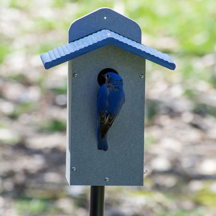 Bluebird House Gray with Blue Roof featuring a bluebird perched inside, showcasing the side open panel for easy cleaning.