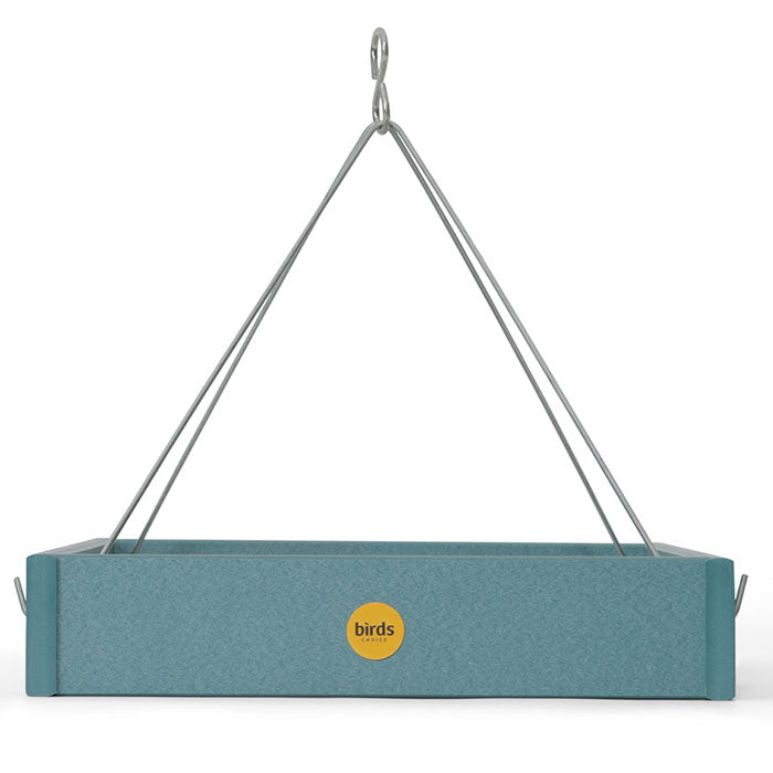 Hanging Platform Bird Feeder with durable stainless steel rods, perforated mesh tray for drainage, and open design to attract various songbirds. Made from recycled lake blue plastic.