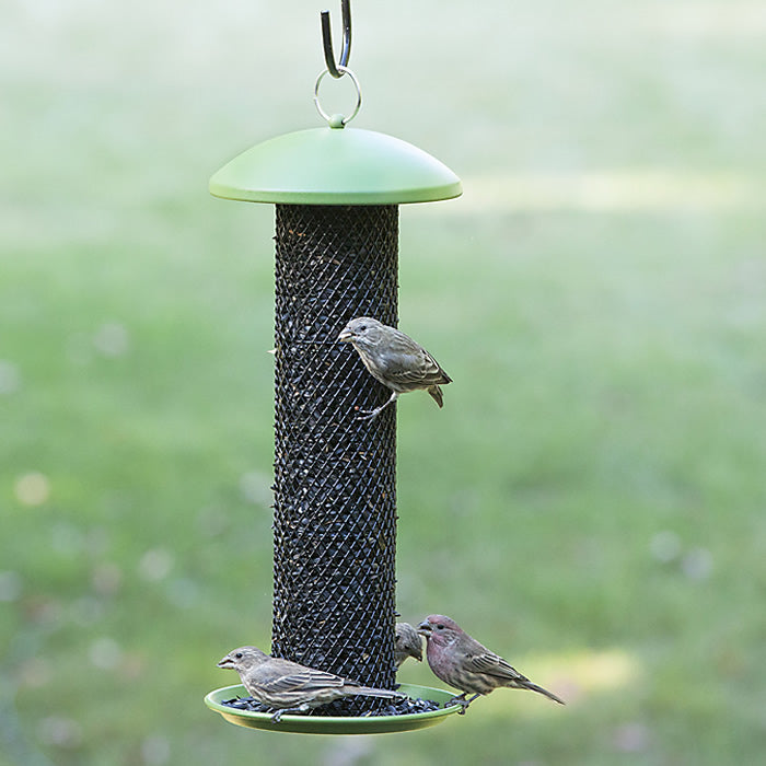 Green Mesh Sunflower Tube Feeder with birds clinging on the mesh, featuring a seed catch tray and hanging loop for easy refills.