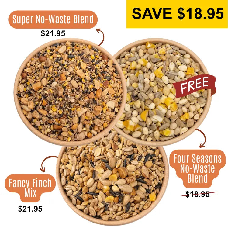 3 Bowls of birdseed from a birds eye view, specifically:  Super No-Waste Blend, Four Seasons No-Waste, and Fancy Finch Mix