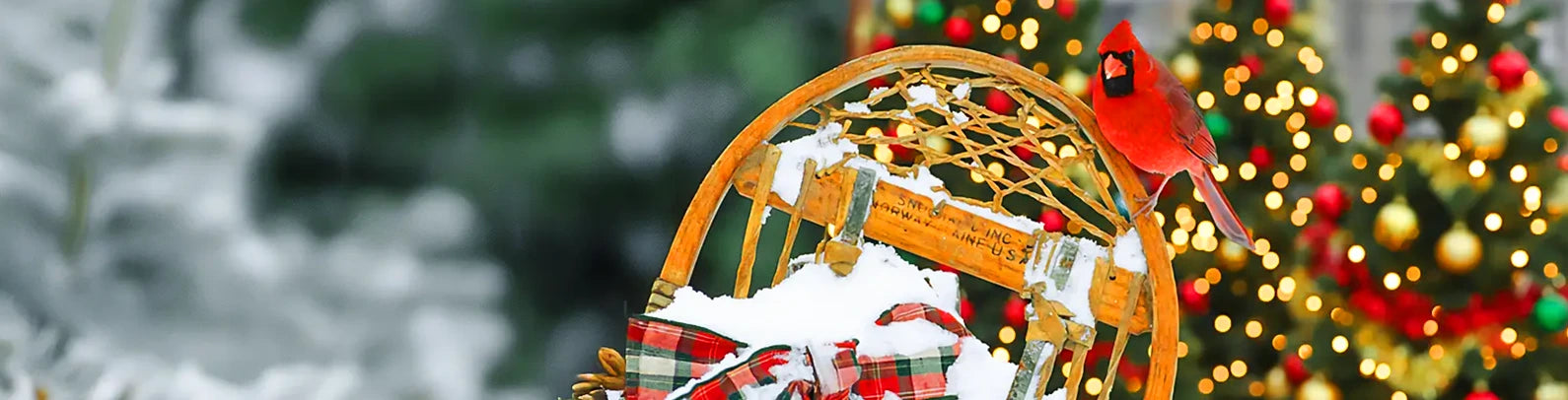Wooden snowshoe with red cardinal and Christmas tree in the background