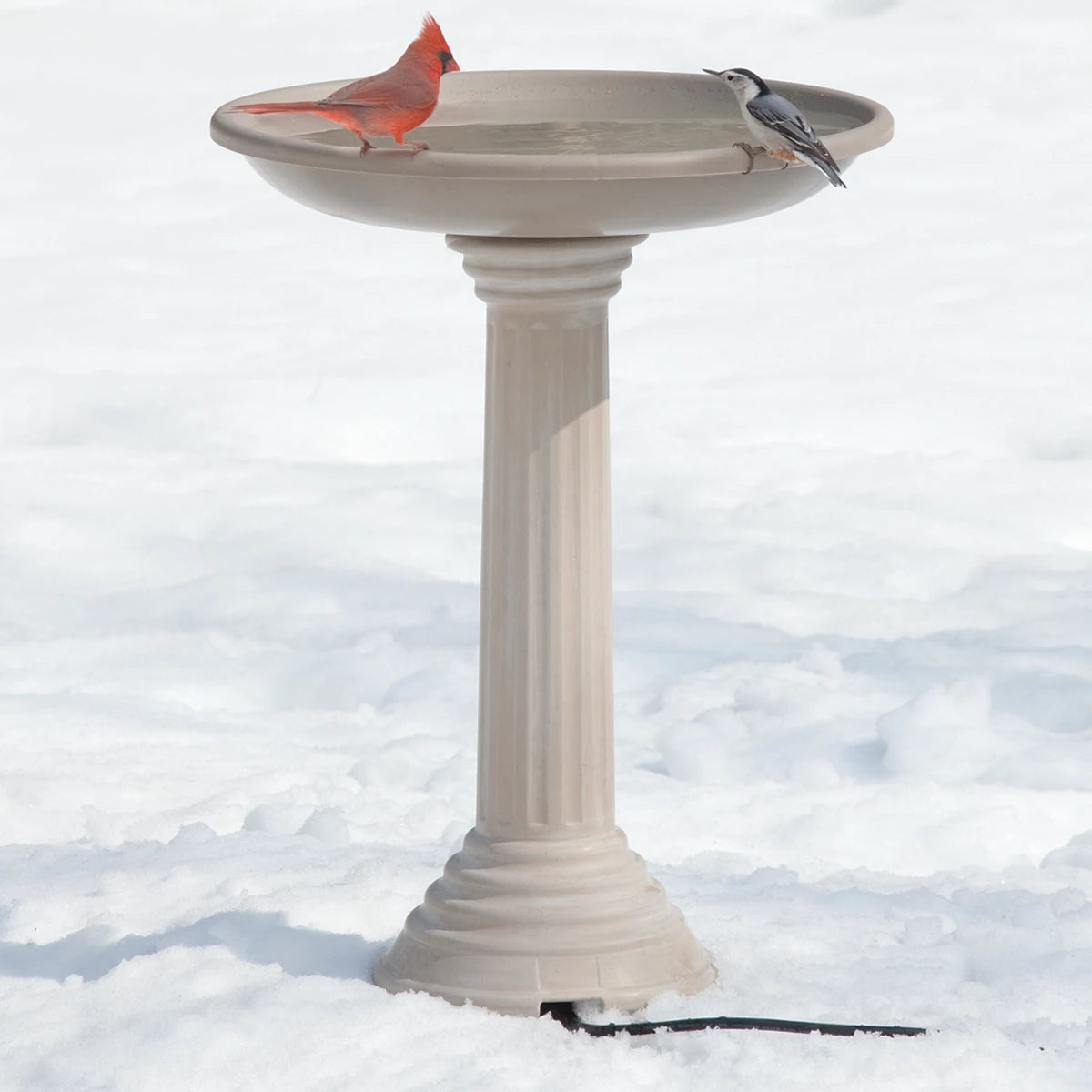 All Seasons Heated Bird Bath in snow with Northern Cardinal and White-breasted Nuthatch on rim, featuring a hidden electric cord for winter use.