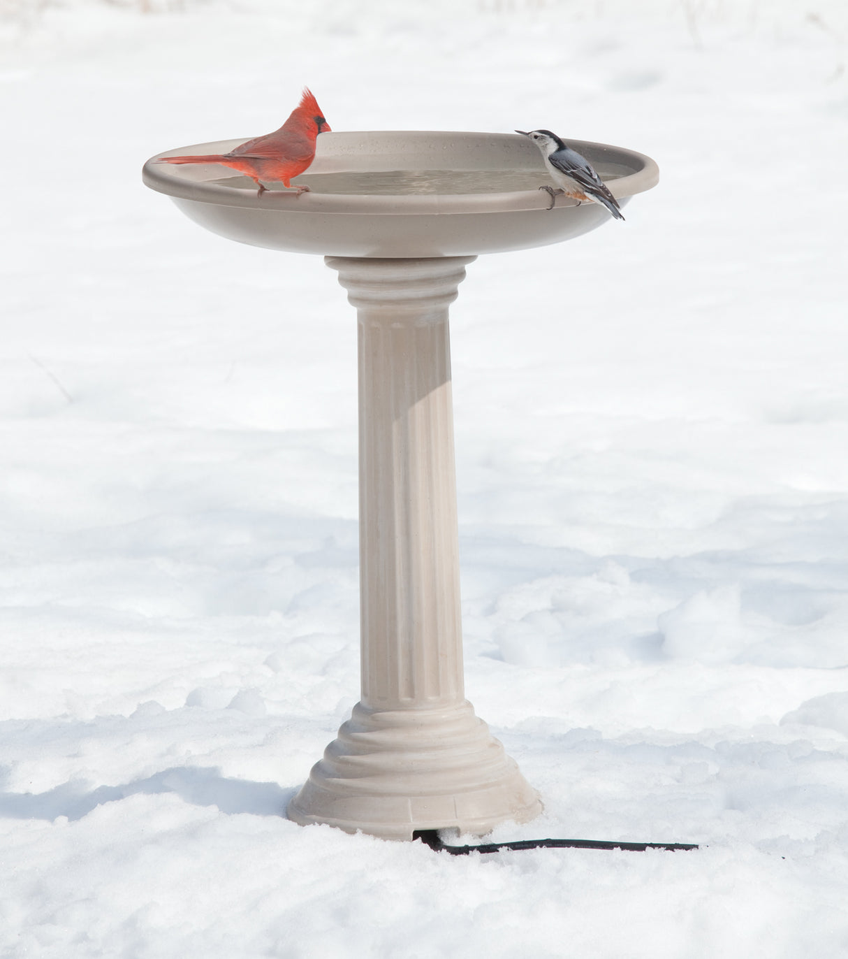 All Seasons Heated Bird Bath with a red cardinal perched on the rim, featuring a thermostatically controlled heater for winter use.