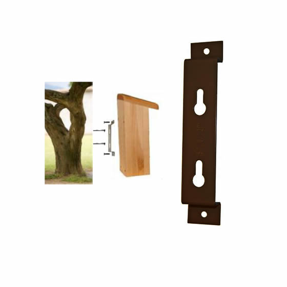 Close-up of a tree with a Quick Connect Mounting Plate attached, featuring two keyhole cutouts for easy birdhouse mounting and removal.