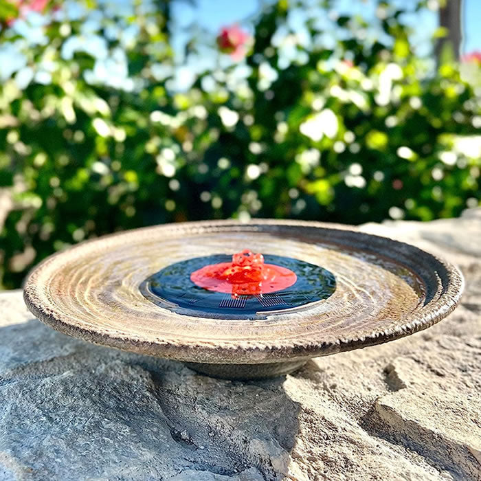 QuackUps Solar Bubbler Fountain on a rock, surrounded by plants, perfect for attracting hummingbirds. Includes solar panel, pump, and red slotted dome.