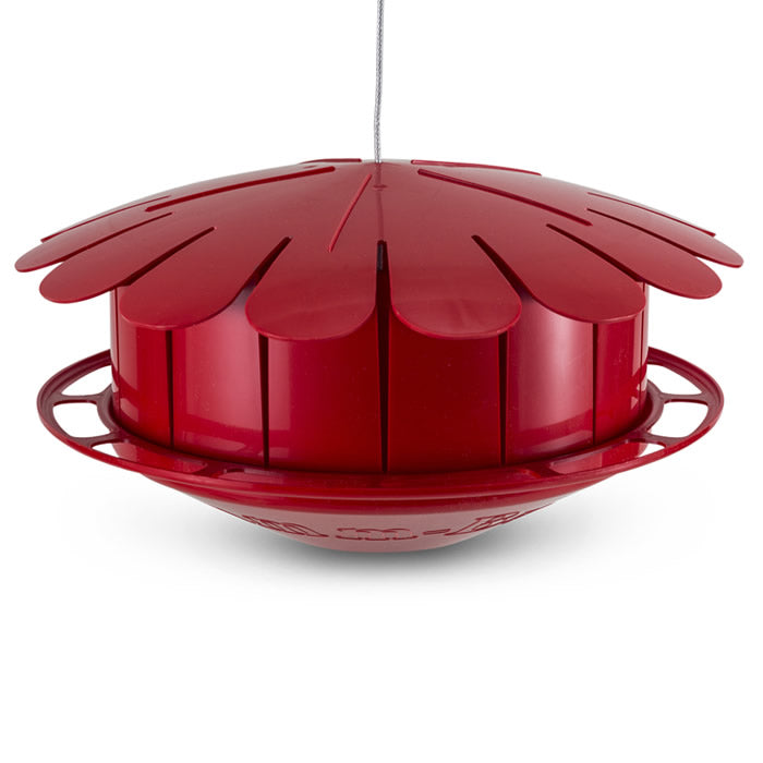 Humm-Bug Hummingbird Protein Feeder with flower-shaped design, featuring multiple feeding ports and a wraparound perch for hummingbirds to rest while feeding.