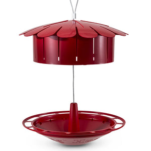 Humm-Bug Hummingbird Protein Feeder with a flower-shaped lid and wraparound perch, designed to incubate fruit and attract hummingbirds by producing fruit flies.