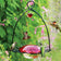 Hummingbird Flower Feeder with red-glass, flower-shaped design, features hummingbirds feeding, set against a natural backdrop, showcasing its attractive, functional form.