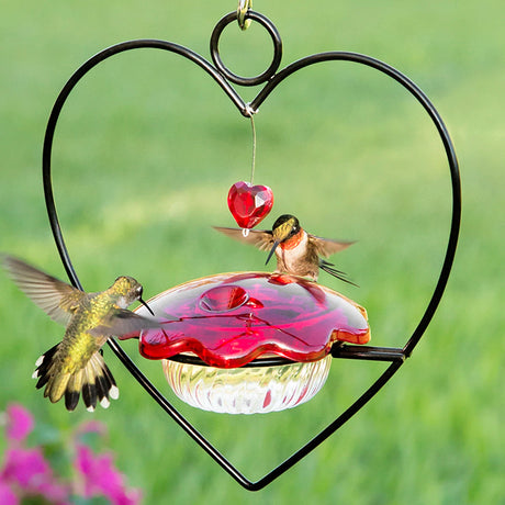 Hummingbird Heart Feeder with red glass, heart-shaped metal hanger, and dangling crystal bead, attracting two hummingbirds drinking nectar.