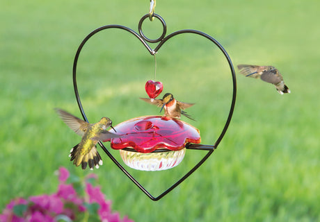 Hummingbird Heart Feeder with a red heart-shaped gem and clear plastic dish, attracting hummingbirds to a metal frame with a single feeding port.