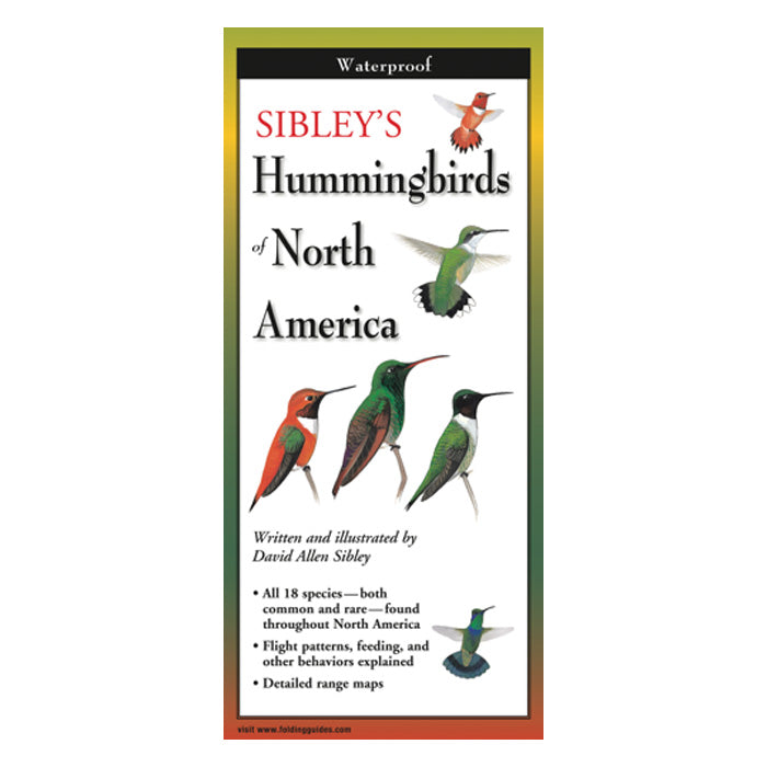 Sibley's Hummingbirds of North America Folding Guide showing detailed illustrations of various hummingbirds in flight and perched, ideal for bird identification on the go.