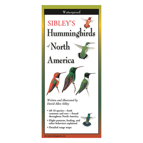 Sibley's Hummingbirds of North America Folding Guide showing detailed illustrations of various hummingbirds in flight and perched, ideal for bird identification on the go.