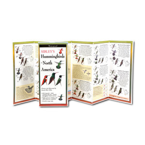 Sibley's Hummingbirds of North America Folding Guide: Illustrated, waterproof, laminated brochure for identifying U.S. hummingbirds with detailed diagrams, range maps, and behavior insights. Portable and durable.