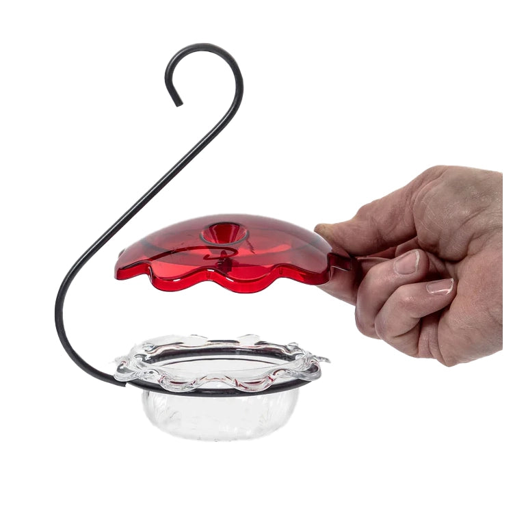 Hand holding a red and clear hummingbird feeder with a hook on a white background