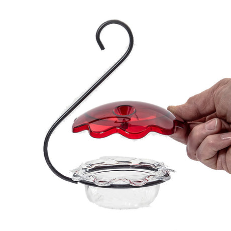 Hand holding a Hummingbird Single Cup feeder with a decorative red flower-shaped gem and a clear plastic dish for nectar.