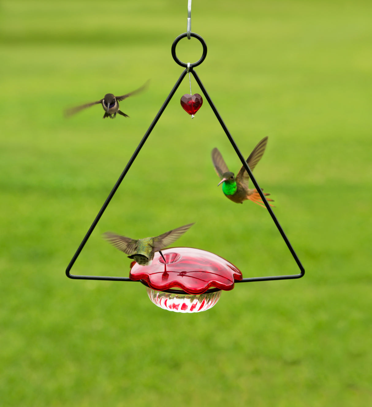 Hummingbird Swing Feeder with heart-shaped gem, perching bars, and removable cover, designed to attract and entertain multiple hummingbirds.