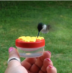 HUM-Drum™ Handheld Hummingbird Feeder being held by a person, with a hummingbird flying close to the small red plastic container.