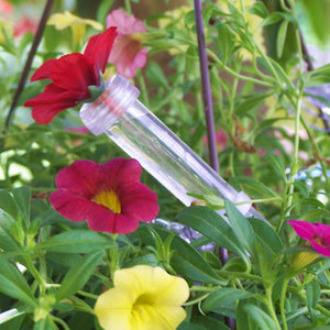 HUM-FI™ Handheld Hummingbird Feeder, Set of 2, featuring a clear glass tube with a flower, designed for easy hand-feeding of hummingbirds.