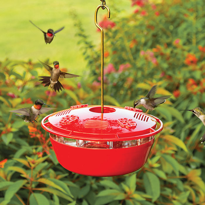 Humm-Yumm Protein PLUS Nectar Feeder with hummingbirds feeding at multiple ports, featuring a wraparound perch and compartments for nectar and banana peels.