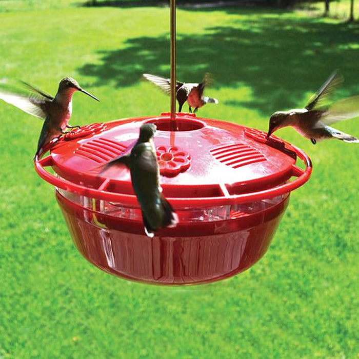 Humm-Yumm Protein PLUS Nectar Feeder with multiple hummingbirds feeding, featuring red dish, brass hanging hook, and wraparound perch for easy access to nectar and protein.