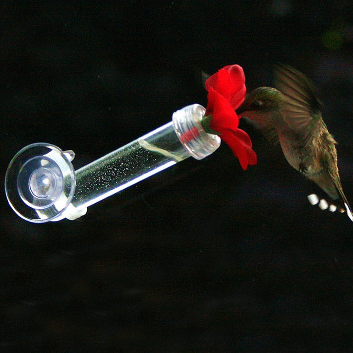 HUM-FI™ Handheld Hummingbird Feeder, Set of 2, features a clear tube with a needle-like feeding port, designed for hand-feeding hummingbirds.