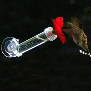 HUM-FI™ Handheld Hummingbird Feeder, Set of 2, features a clear tube with a needle-like feeding port, designed for hand-feeding hummingbirds.