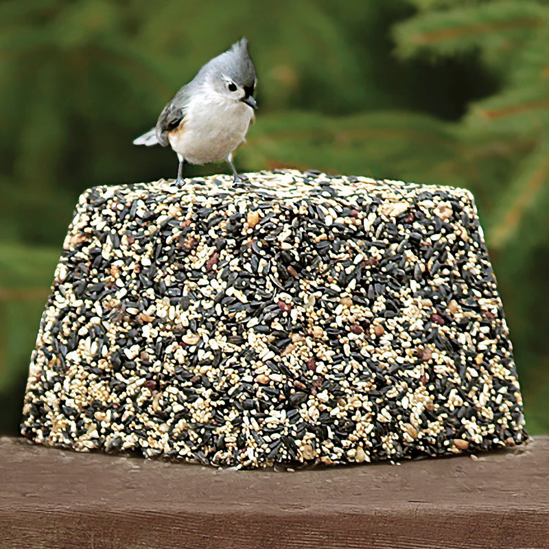 Duncraft Jumbo Bird Seed Block