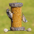 Sea Stones Lifetime Seed Cylinder Bird Feeder with birds feeding, showcasing its handcrafted design and granite material, perfect for enhancing garden decor.