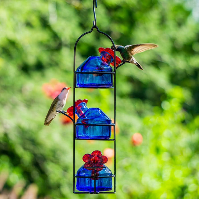 Lunch Pail 3 Hummingbird Feeder with three blue reservoirs and red flower feeding ports, hanging from a black metal hanger, designed for hummingbirds.