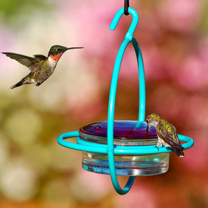 Sphere Hummingbird Feeder, Aqua, with built-in perch, showing multiple hummingbirds feeding and resting on the aqua wraparound perch attached to a red glass lid.