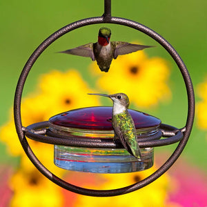 Sphere Hummingbird Feeder, Dark Copper, with two birds feeding; one bird flying. Red glass lid, clear dish, and durable steel frame.