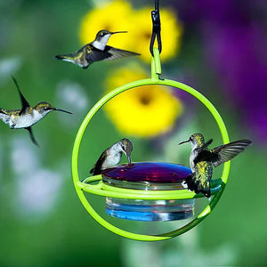 Sphere Hummingbird Feeder, Lime, showing multiple hummingbirds feeding from the red glass lid and resting on the lime wraparound perch.