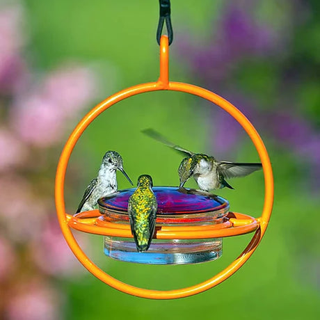 Sphere Hummingbird Feeder, Orange: Multiple hummingbirds feeding from a red-lidded feeder with four ports and an orange perch, held by a durable steel frame.