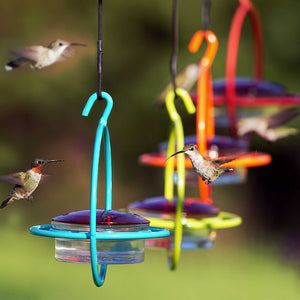 Sphere Hummingbird Feeders, Set of 4, with wraparound perches, hanging outdoors, attracting multiple hummingbirds around red glass lids on the feeders.