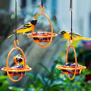 Orange Jelly Spheres, Set of 3, featuring birds on feeders with wraparound perches and solid glass dishes for treats, hung with sturdy hooks.