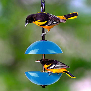 Yellow and black bird perched on Mosaic Birds Hanging Double Poppy Feeder, featuring dual glass dishes for treats or water, with durable metal hanger.