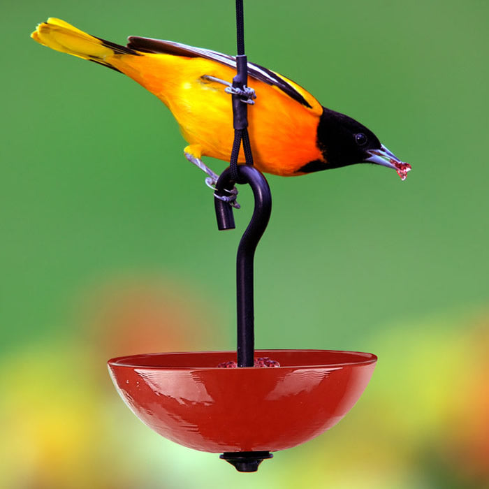 Mosaic Birds Single Hanging Poppy Feeder with a yellow bird eating from the feeder, showcasing its sturdy metal hanger and glass dish for seeds.