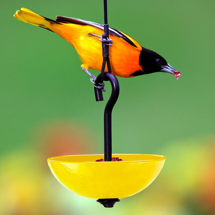 Mosaic Birds Single Hanging Poppy Feeder with a yellow bowl and black pole, featuring a bird eating from it.