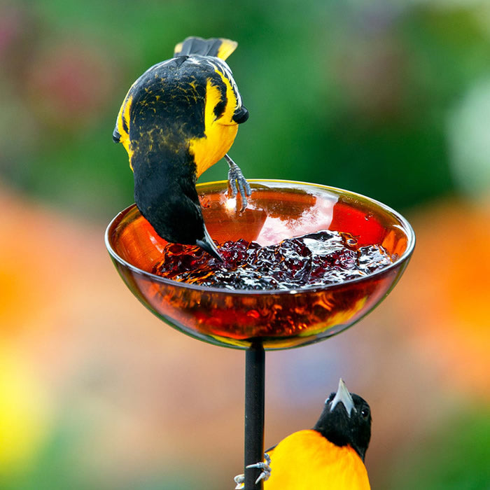 Bird perched on the Mosaic Birds Poppy Stake Feeder, Orange, eating from a glass dish filled with jelly, mounted on a durable steel garden stake.