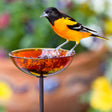 Mosaic Birds Poppy Stake Feeder, Orange: A bird perches on a glass dish feeder placed on a garden stake, designed for attracting birds with easy filling and viewing.