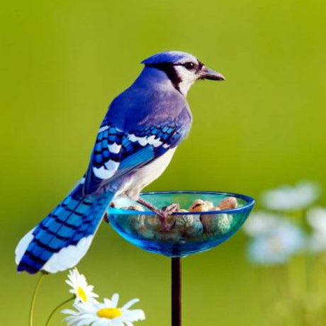 Mosaic Birds Poppy Stake Feeder, Aqua, featuring a blue and white bird perched on the glass dish feeder filled with nuts.